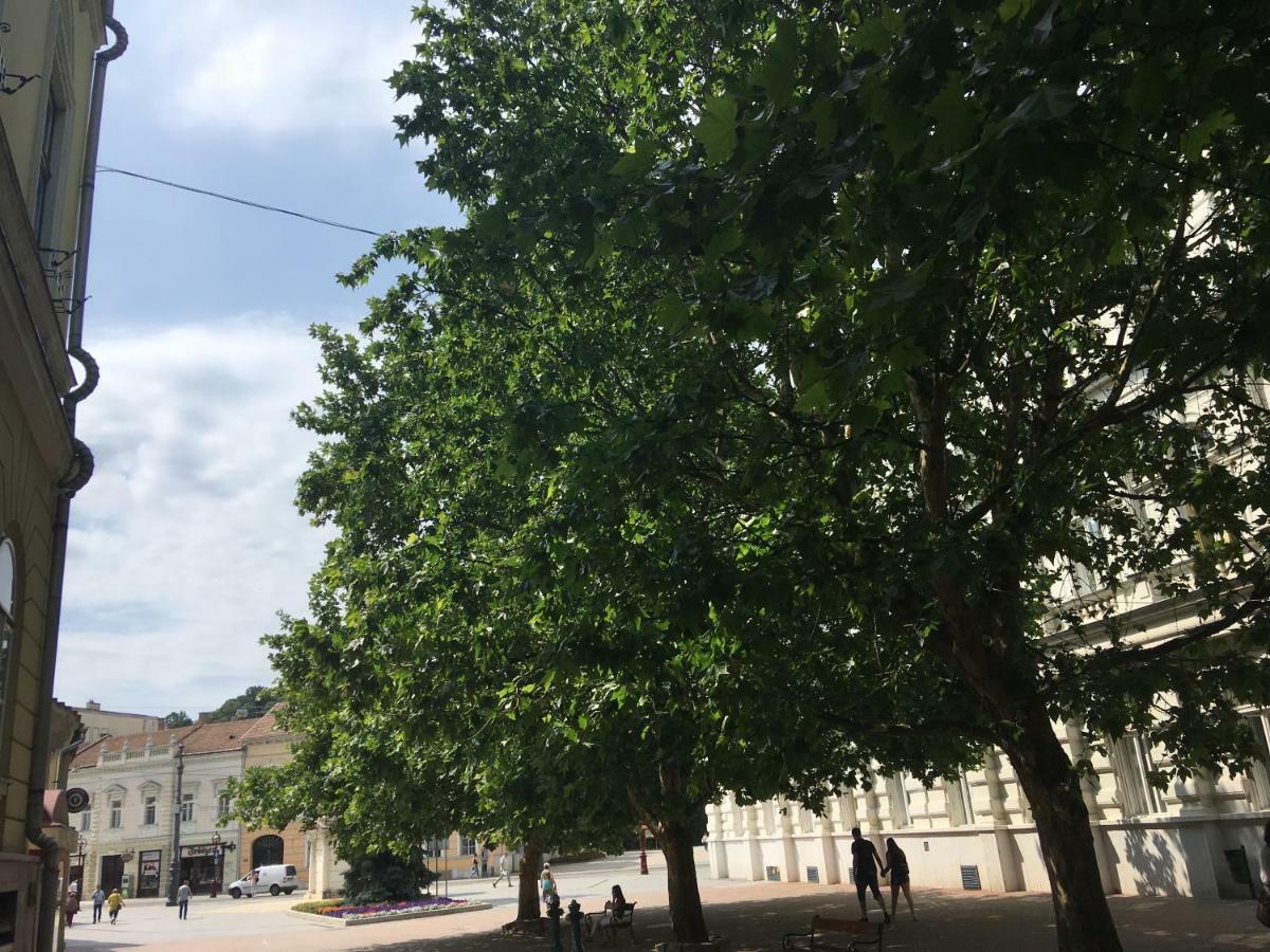 Mse Apartman Miskolc Eksteriør bilde